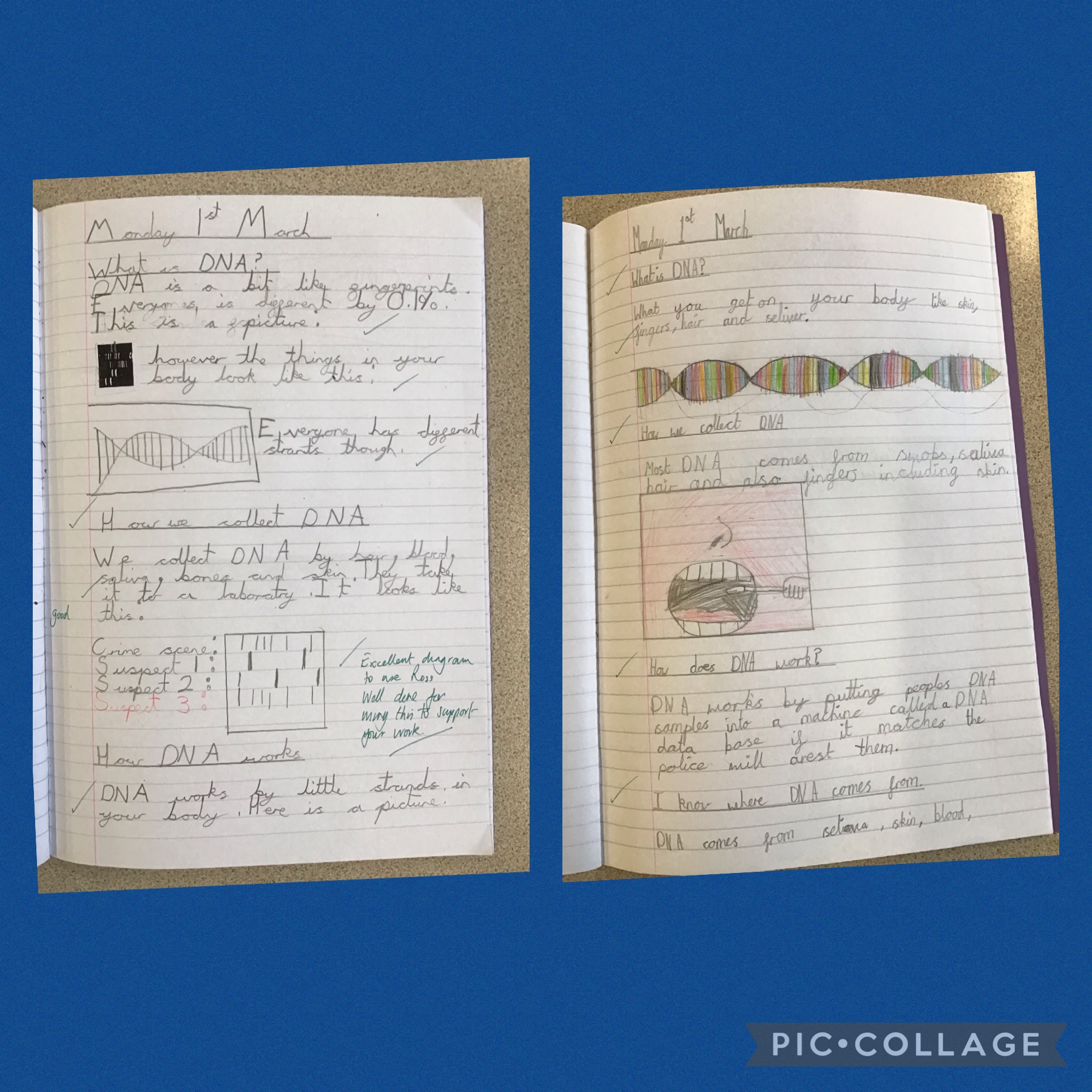 Image of DNA